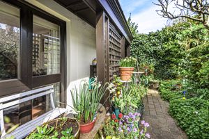 Patio Garden- click for photo gallery